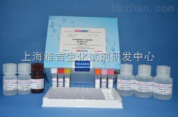 兔子骨胶原交联(Cr)免疫组化试剂盒-上海雅吉生化试剂研发中心